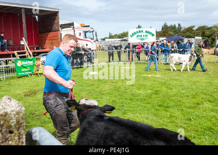 Ardara, County Donegal, Irlanda. Gli allevatori di bestiame e all'annuale Ardara spettacolo agricolo. Foto Stock