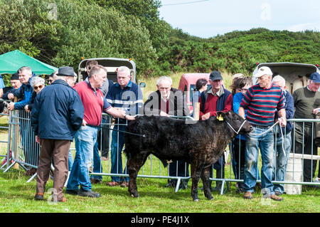 Ardara, County Donegal, Irlanda. Gli allevatori di bestiame e all'annuale Ardara spettacolo agricolo. Foto Stock