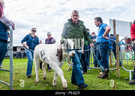 Ardara, County Donegal, Irlanda. Gli allevatori di bestiame e all'annuale Ardara spettacolo agricolo. Foto Stock