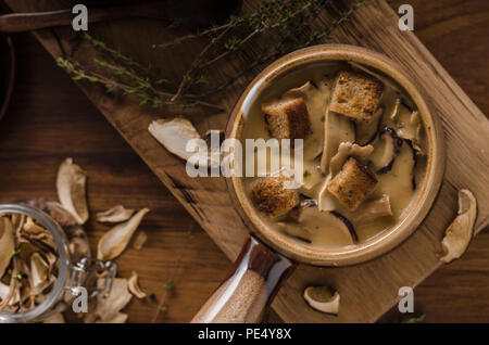 Rustico zuppa di funghi, ceco foresta di funghi freschi raccogliere nei boschi Foto Stock