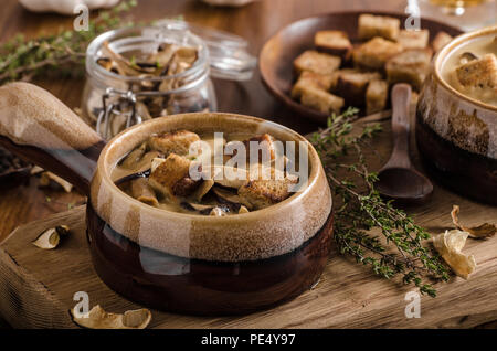 Rustico zuppa di funghi, ceco foresta di funghi freschi raccogliere nei boschi Foto Stock