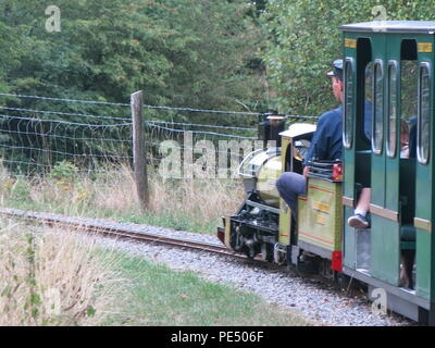 Eastleigh Lakeside ferrovie a vapore è un ottimo posto per prendere i bambini per corse su una miniatura del treno a vapore; vicino a Southampton in Hampshire. Foto Stock