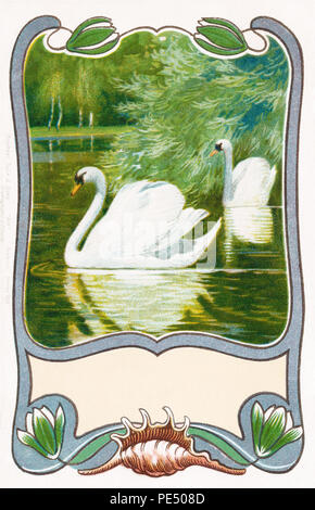 Vintage art nouveau cartolina di cigni su un lago o fiume. Pubblicato da Raphael Tuck & Sons in circa 1903. Foto Stock