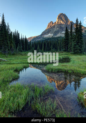 Liberty Bell Mountain riflessa in stagno nel prato erboso, Washington Pass, North Cascades, Chelan County, nello Stato di Washington Foto Stock