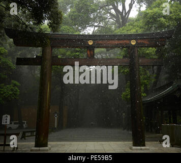 Un torii gate segna il passaggio dal mondano al sacro al di fuori del tempio di Meiji in Tokyo, Sett. 9, 2015. Il 100-anno-vecchio foresta che circonda il tempio è compreso di 100.000 alberi donati da tutto il Giappone e gli altri paesi. (U.S. Air Force foto di Airman 1. Classe Elizabeth Baker/rilasciato) Foto Stock