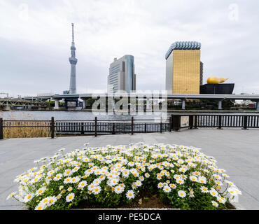 Edifici iconici come visto dal Parco Sumida, attraverso il Fiume Sumida. Tali edifici sono Asahi HQ e Torre del quartiere Sumida Office e Tokyo Skytree. Foto Stock