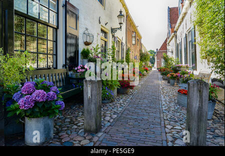 Fiore-decorate antiche strade di ciottoli nel villaggio di Elburg, provincia di Gelderland, Paesi Bassi. Attrazione turistica di fiori d'estate. Foto Stock