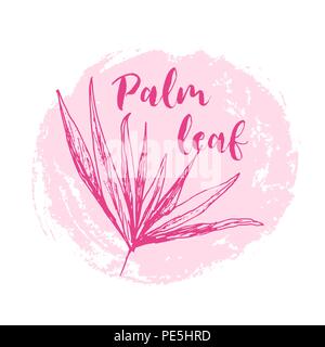 Isolato o di cocco regina Palm tree con foglie. La spiaggia e la foresta pluviale, deserto coco flora. Foglie di felce subtropicale. Palmae verde o jungle arecaceae. Isola Clima,botanica, ambiente tema Illustrazione Vettoriale