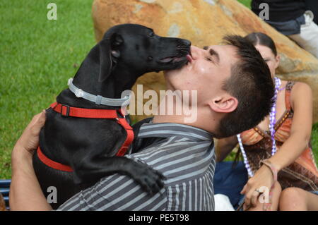 Spc. Justin Lowery riunisce con i suoi oltre-cane ansioso, Dakota, dopo la ridistribuzione da Pacific Pathways alla Caserma Schofield, Hawaii, sul Sett. 23, 2015. Lowery è un mortaio uomo con C Company, 2° Battaglione, 27° Reggimento di Fanteria, 3° Brigata Team di combattimento. (Foto di Staff Sgt. Armando R. Limon, 3° Brigata Team di combattimento, XXV divisione di fanteria) Foto Stock