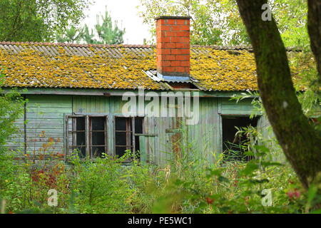 Vecchia casa abbandonata nella foresta Foto Stock