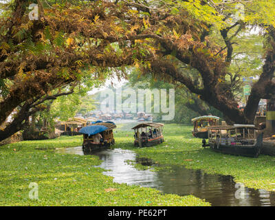 Case galleggianti sulle lagune del Kerala in Alappuzha (Alleppey). Foto Stock