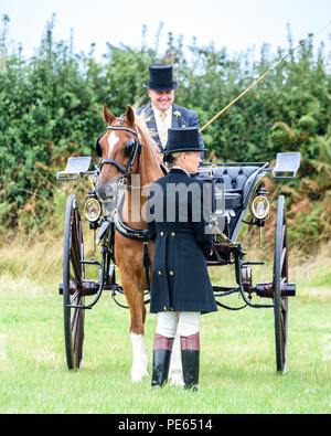 Hellingly, East Sussex, Regno Unito. 12 ago 2018. Un concorrente in una classe presso le Querce la guida Club show, Hellingly, East Sussex. Foto ©Julia Claxton Credito: Julia Claxton/Alamy Live News Foto Stock