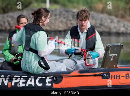 Amburgo, Germania. 13 Ago, 2018. Gli attivisti di Greenpeace prendere i campioni di acqua da sud Elba da un gommone. Su un banco di misurazione attraverso 22 città in Germania, Greenpeace vuole mettere alla prova i laghi, torrenti, fiumi e pozzi privati per i residui da allevamento industriale. Credito: Daniel Bockwoldt/dpa/Alamy Live News Foto Stock