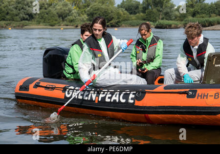 Amburgo, Germania. 13 Ago, 2018. Gli attivisti di Greenpeace prendere i campioni di acqua da sud Elba da un gommone. Su un banco di misurazione attraverso 22 città in Germania, Greenpeace vuole mettere alla prova i laghi, torrenti, fiumi e pozzi privati per i residui da allevamento industriale. Credito: Daniel Bockwoldt/dpa/Alamy Live News Foto Stock