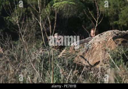 Royal Marines con 45 Commando fornire sicurezza mentre è di pattuglia durante il Tridente frangente 15, Ottobre 23, 2015. Trident frangente è uno dei molti esercizi garantendo che la NATO è pronta per affrontare qualsiasi crisi emergente da qualsiasi direzione e che l'Alleanza è in grado di lavorare in modo efficace con i paesi partner. (U.S. Marine Corps foto di Cpl. Kaitlyn V. Klein/rilasciato) Foto Stock