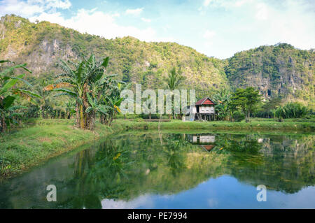 Bella calcari e riflessioni di acqua in Rammang Rammang parco vicino Makassar, Sulawesi meridionale, Indonesia Foto Stock