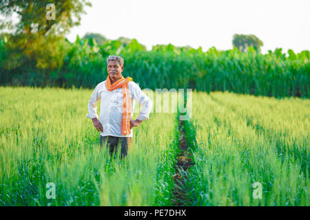 Indian l'agricoltore che detiene di pianta di raccolto nel suo campo di grano Foto Stock