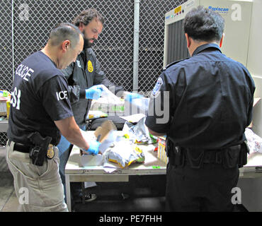 Una CBP officer, agente di HSI e DEA sperimentatore ispezionare i pacchetti sospetti come parte di droghe sintetiche il funzionamento, progetto Sinergia III su 13 Ottobre, 2015. Foto di: Jaime Ruiz Foto Stock