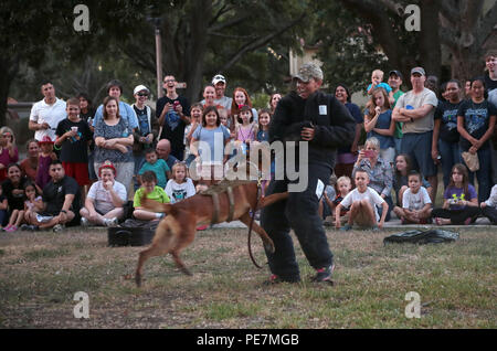 Airman 1. Classe Victoria Dunning, 902nd delle forze di sicurezza Squadron sistemi elettronici di sicurezza manager, dimostra la capacità di attacco di un militare di cane da lavoro durante la notte nazionali fuori da ottobre 6 in corrispondenza del giunto di base Antonio-Randolph San. Ospitato in un blocco atmosfera di festa nazionale, Night Out fornisce un opportunità ogni anno per JBSA-Randolph di membri della comunità a interagire gli uni con gli altri e di prima emergenza e per saperne di più sulle varie agenzie di base. Foto Stock