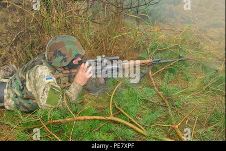 Un soldato con la nazionale ucraina di guard fornisce la sicurezza ott. 22 durante una squadra live-fire esercizio vicino Yavoriv, Ucraina. Istruttori con il lituano forze armate lavorano insieme con i paracadutisti da U.S dell esercito 173 Airborne brigata per addestrare soldati con la nazionale ucraina di guardia su come condurre il movimento-sotto il fuoco come parte come intrepido custode. (U.S. Foto dell'esercito da Staff Sgt. Adriana Diaz-Brown, decimo premere Camp la sede centrale) Foto Stock