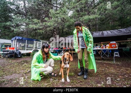 Perro de campo herido encontrado, rescatado atendido y por integrantes de Expedición scoperta Madrense .... Expedición scoperta Madrense de Greate Foto Stock