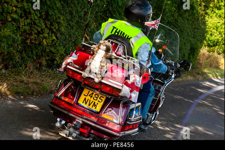 Honda Goldwing proprietari prendete la strada nel Derbyshire Peak District. 2018 Trento WingDing, Matlock, Derbyshire. Foto Stock