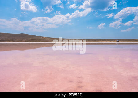 Pink Salt Lake Koyashskoe, Crimea. Foto Stock