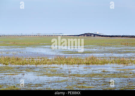 Thalesap Songkhla bridge, aka Ekachai ponte in Phatthalung, Thailandia Foto Stock