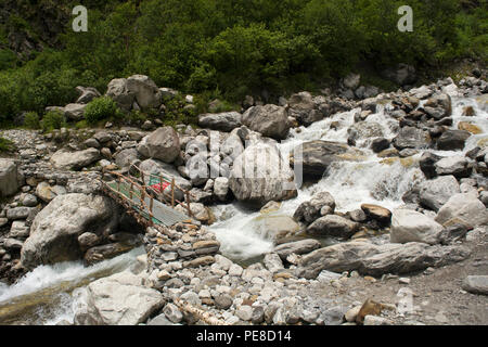 Piccolo ponte di legno attraverso un ruscello, Uttarakhand, India Foto Stock