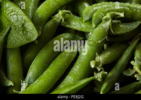 Verde biologico cialde di giovani piselli verdi e foglie di spinaci con gocce d'acqua di close-up. Foto Stock