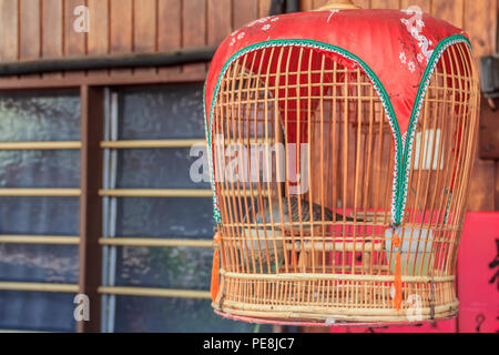 Colomba in un tradizionale birdcage appeso al di fuori di una casa a masticare Jetty villaggio galleggiante di Georgetown, Penang, Malaysia Foto Stock