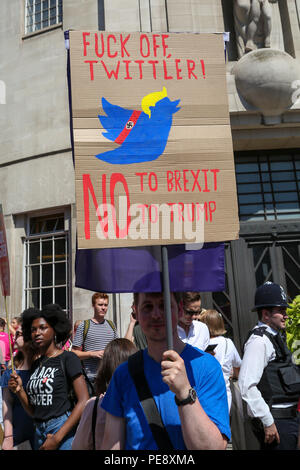 Centinaia di manifestanti raccogliere su Portland Place per una manifestazione contro il presidente statunitense Donald Trump pieno sul primo giorno di visita per il Regno Unito ha organizzato dalle donne del marzo Londra coalizione oltre il divieto di musulmani e di altre questioni in materia di donne e di LGBT i diritti. Dotato di: atmosfera, vista in cui: Londra, Regno Unito quando: 13 lug 2018 Credit: Dinendra Haria/WENN Foto Stock