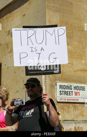 Centinaia di manifestanti raccogliere su Portland Place per una manifestazione contro il presidente statunitense Donald Trump pieno sul primo giorno di visita per il Regno Unito ha organizzato dalle donne del marzo Londra coalizione oltre il divieto di musulmani e di altre questioni in materia di donne e di LGBT i diritti. Dotato di: atmosfera, vista in cui: Londra, Regno Unito quando: 13 lug 2018 Credit: Dinendra Haria/WENN Foto Stock