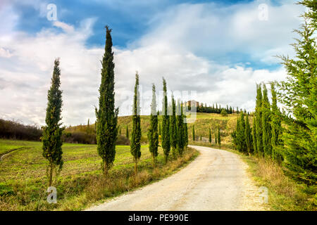 Tipico paesaggio della Toscana. Un viale di cipressi che conduce a una fattoria in Val d'Orcia. Foto Stock