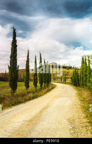 Tipico paesaggio della Toscana. Un viale di cipressi che conduce a una fattoria in Val d'Orcia. Foto Stock
