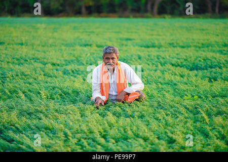 L'agricoltore indiano al campo di ceci Foto Stock