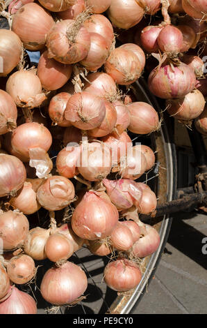 Le cipolle di essere venduto a Abergavenny food festival Foto Stock