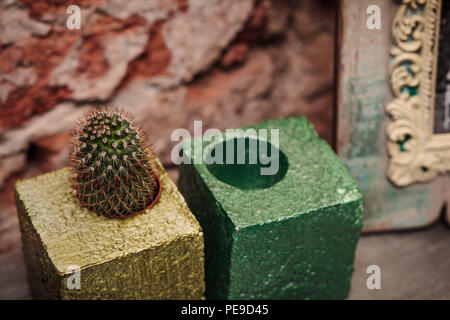 Cactus in un giallo deco pot accanto a un vuoto pot verde Foto Stock