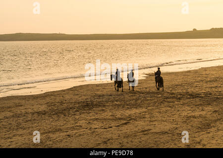 Gruppo di amici in sella ai loro cavalli in mare a Barry Island, Vale of Glamorgan, Galles. PHILLIP ROBERTS Foto Stock