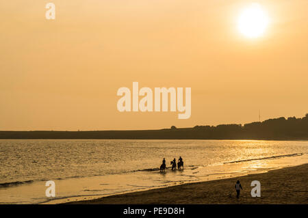 Gruppo di amici in sella ai loro cavalli in mare a Barry Island, Vale of Glamorgan, Galles. PHILLIP ROBERTS Foto Stock