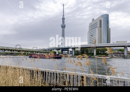 Edifici iconici come visto dal Parco Sumida, attraverso il Fiume Sumida. Tali edifici sono Asahi HQ e Torre del quartiere Sumida Office e Tokyo Skytree. Foto Stock