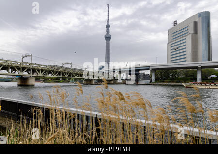 Edifici iconici come visto dal Parco Sumida, attraverso il Fiume Sumida. Tali edifici sono Asahi HQ e Torre del quartiere Sumida Office e Tokyo Skytree. Foto Stock