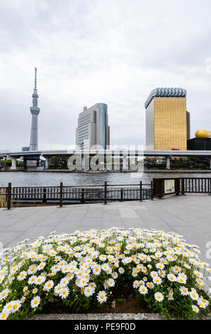 Edifici iconici come visto dal Parco Sumida, attraverso il Fiume Sumida. Tali edifici sono Asahi HQ e Torre del quartiere Sumida Office e Tokyo Skytree. Foto Stock