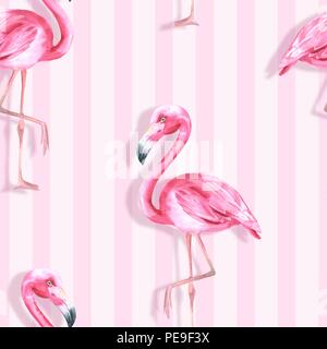 Uccello tropicale. Fenicottero rosa. Acquerello pattern senza giunture Foto Stock