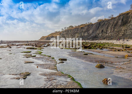 Eccezionalmente bassa marea a molla espone il normalmente invisibili letto del mare a Monmouth Beach su Jurassic Coast, Lyme Regis, Dorset, England, Regno Unito Foto Stock