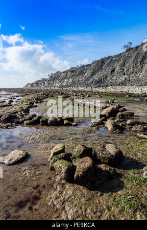 Eccezionalmente bassa marea a molla espone il normalmente invisibili letto del mare a Monmouth Beach su Jurassic Coast, Lyme Regis, Dorset, England, Regno Unito Foto Stock