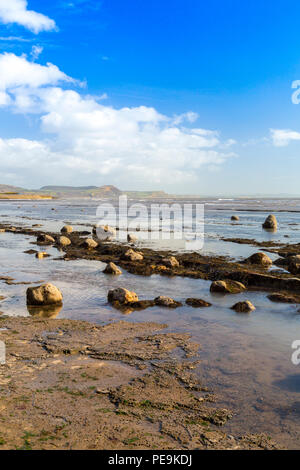 Eccezionalmente bassa marea a molla espone il normalmente invisibili letto del mare a Monmouth Beach su Jurassic Coast, Lyme Regis, Dorset, England, Regno Unito Foto Stock