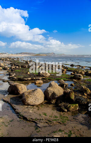 Eccezionalmente bassa marea a molla espone il normalmente invisibili letto del mare a Monmouth Beach su Jurassic Coast, Lyme Regis, Dorset, England, Regno Unito Foto Stock