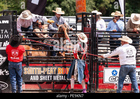 Cowboy professionisti competere in sella bronc porzione del 2018 Ram Rodeo Tour a Exeter, Ontario, Canada. Foto Stock