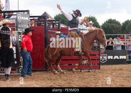 Cowboy professionisti competere in sella bronc porzione del 2018 Ram Rodeo Tour a Exeter, Ontario, Canada. Foto Stock